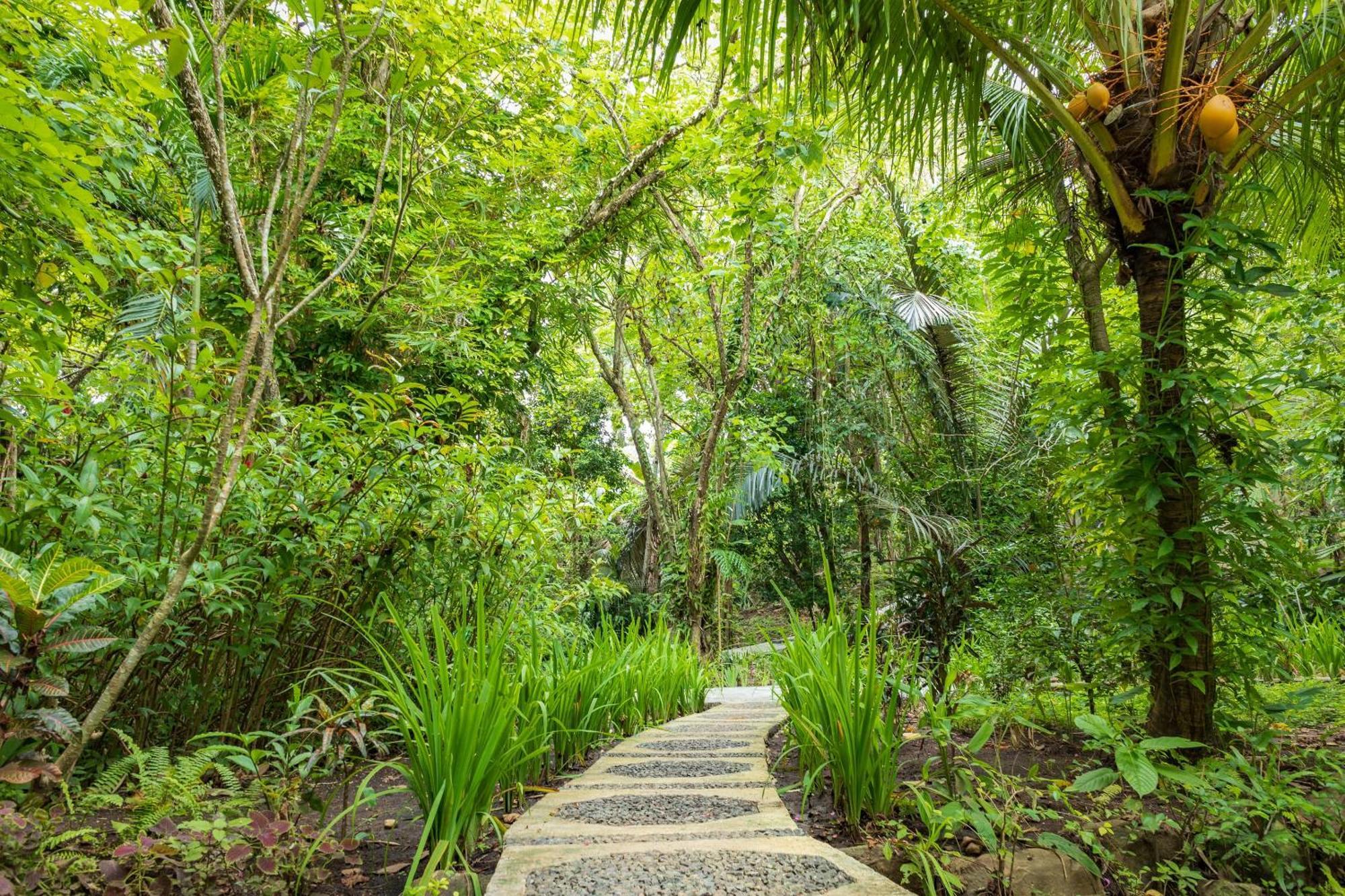 Thalassa Dive & Wellbeing Resort Manado Exterior photo